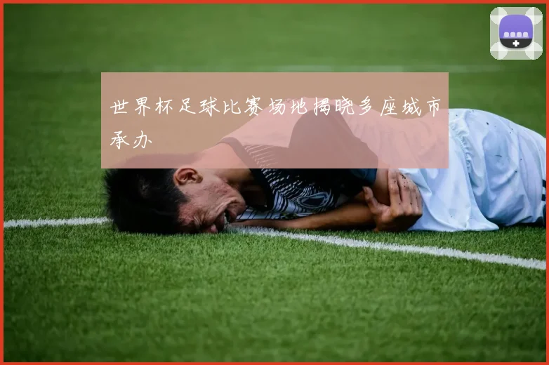世界杯足球比赛场地揭晓多座城市承办