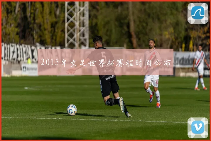 2015年女足世界杯赛程时间公布